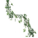 ИРУЖЕЧНАЯ ГИРЛЯНДА СВЯЗАННЫЕ ЛИСТЬЯ СЛИВОЧНИК Плющ