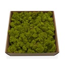 250 г чистого очищенного оленьего мха