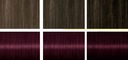 Palette Szampon Koloryzujący 301 Bordo 24 mycia x2 Kolor włosów dla szatynek