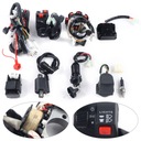 COMPUESTA JUEGO DE CABLES TUBOS ATV QUAD 150-250 300CC 