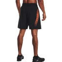 МУЖСКИЕ ТРЕНИРОВОЧНЫЕ ШОРТЫ UNDER ARMOR S POCKET