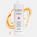 BE SMOOTH VYHLADZUJÚCI ŠAMPÓN 1000ML + SÉRUM BIOELIXIRE ZDARMA Značka Be Hair