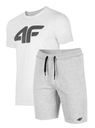 4F КОМПЛЕКТ МУЖСКОЙ ФУТБОЛКИ И ШОРТ