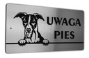 Tabliczka INOX UWAGA PIES Chart Angielski Whippet