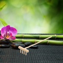 Миниатюрные деревянные грабли для мха для дзен-медитации