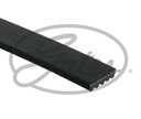 GATES 5PK778 BELT WEDGE MULTI-RIBBED photo 2 - milautoparts-fr.ukrlive.com