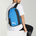 2965 BATOH PUMA VODOTESNÝ 2 ŠPORTOVÉ KOMORY ŠKOLSKÝ BACKPACK BLUE 23 L EAN (GTIN) 4062451880385