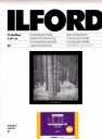 ILFORD MG V Deluxe 10x15/100 сатин