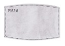 Угольный фильтр PM2,5 для REUSABLE MASK FILTER XL