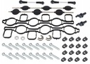 РЕМОНТНЫЙ КОМПЛЕКТ ЗАСЛОНКИ КОЛЛЕКТОРА, ОШИБКА P2008 2.7 TDI