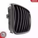 ESEN SKV GRILLE GRILLES 66SKV249 66SKV249 SKVphoto 10