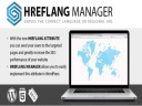 Плагин Hreflang Manager Wordpress
