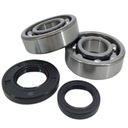 ПОДШИПНИКИ КОЛЕНВАЛА DIRTY PIG SUZUKI RM