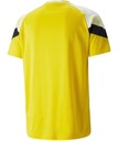 Pánske tričko Puma BVB Borussia Dortmund Iconic Jsy XL EAN (GTIN) 4064535682649