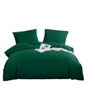 Постельное белье 160х200 ГЛАДКОЕ ОДНОЦВЕТНОЕ +2x НАВУШКА 70х80