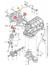Прокладки масляного радиатора Audi A8 ABZ V8 077198070