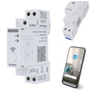 Часы Астрономический таймер WIFI 1P