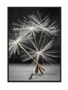 КАРТИНА, ПОСТЕР В РАМКЕ 53х73 см Одуванчик П521