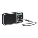 СЕТЕВОЕ И АККУМУЛЯТОРНОЕ РАДИО DAB+, FM TECHNISAT VIOLA 3
