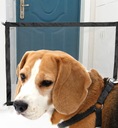 Защитные ворота для собак, регулируемые до 180 см.