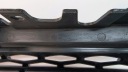 GRILLE CALANDRE RADIATEUR RANGE ROVER EVOQUE Iphoto 9