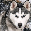 АЛМАЗНАЯ ВЫШИВКА АЛМАЗНАЯ ЖИВОПИСЬ АЛМАЗНАЯ МОЗАИКА КАРТИНА НАБОР ЛИТЬЯ ДОСКИ