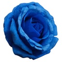 RÓŻA NIEBIESKA GŁÓWKA WYROBOWA RÓŻE SZTUCZNE KWIATY DO WIĄZANEK NA WIENIEC