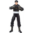 POWER RANGERS MIGHTY MORPHIN NINJA CZARNY RANGER Typ figurka