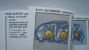 RENAULT CLIO II FL 01-05 КНИЖКА ОБСЛУГОВУВАННЯ WLOSKA RENAULT CLIO 2002R ITALIA  (18644307539) фото min 10