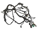 WIRE SET ELECTRICAL BACK TESLA TYPE S 200443004C  photo 6