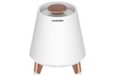 BLAUPUNKT BLUETOOTH-ДИНАМИК СО СВЕТОДИОДНОЙ ПОДСВЕТКОЙ BT2