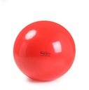 Duża piłka do ćwiczeń rehabilitacji 120 cm Gymnic Rodzaj piłka klasyczna