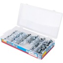 C0407 Комплект смазочных ниппелей, 100 элементов richmann