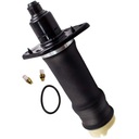 НОВЫЕ ПОДВЕСКИ ПОДВЕСКИ, ПОДУШКА АМОРТИЗАТОРА AUDI A6 C5 ALLROAD ЗАДНЯЯ ЛЕВАЯ