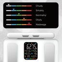 Elektronická analytická kúpeľňová váha s meraním, analýza zloženia tela Materiál platformy syntetický materiál