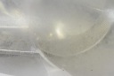 ФАРА ПРАВИЙ ФАРА ПЕРІД EU 8M51-13W029-AD FORD FOCUS MK2 РЕСТАЙЛ 08-11  (18699764849) фото min 15