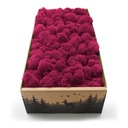 Мох крабовый из Финляндии 500г нетто ТЕМНО-РОЗОВЫЙ