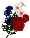 ПОЛЕВЫЕ ЦВЕТЫ БУКЕТ МАКА КОРНУАРСКАЯ РОМАШКА 49 СМ