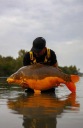 Наживка Mikbaits 10Kg 20Mm