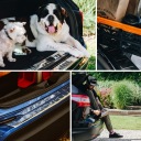 НАКЛАДКА НАКЛАДКА ЗАХИСНА NA ЗАДНІЙ БАМПЕР DO VW GOLF VII 2013-2020 УНІВЕРСАЛ  (13041136476) фото min 9