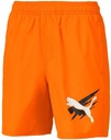 Детские шорты Puma Summer Shorts размер XXL