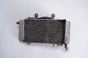 РАДІАТОР ЛІВА HONDA VFR 800 RC46 98-01  (17461551925) фото min 7