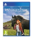 Windstorm: Štart of Great Friendship (PS4) Druh vydania Základ