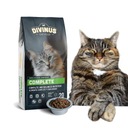 Divinus Cat для взрослых кошек мясо 20кг