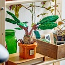 LEGO 76433 Mandragóra Gyermek életkora 10 év <