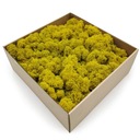 500 г чистого очищенного оленьего мха