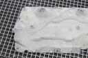 DROITE PROTECTION CHÂSSIS BMW F40 7290804 2.0L DIESEL 110KW 2020photo 7
