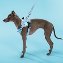 Postroj + vodítko pre psa reflexný s reguláciou modrý XS 56-72cm EAN (GTIN) 5905997304191