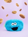Школьный пенал Улица Сезам Cookie Monster Pouch для мальчика