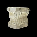 Зубные украшения Quarkee Crystal Clear AB 2,2 мм